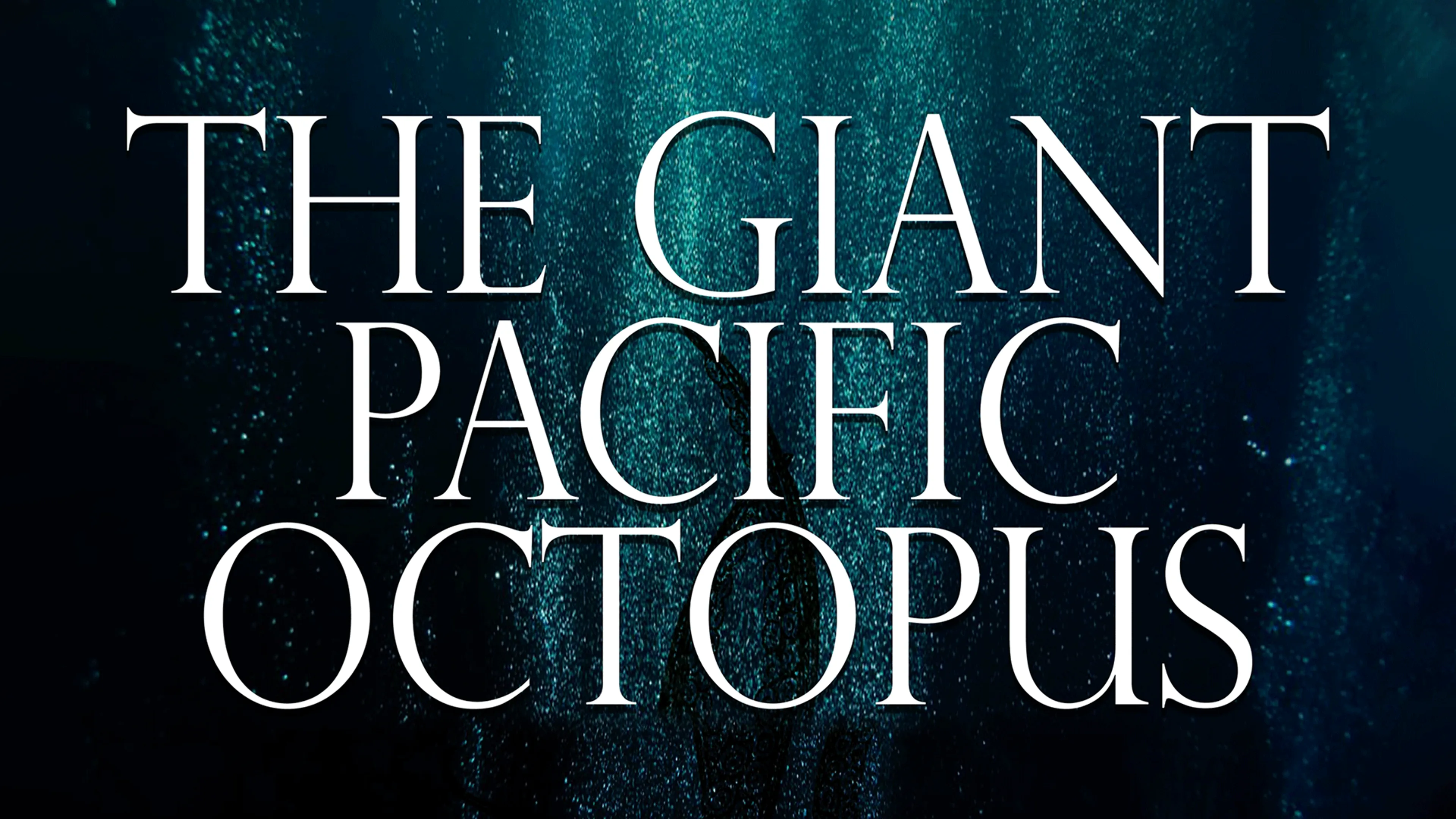 The Giant Pacific Octopus poster